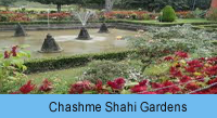 Chashme Shahi Gardens