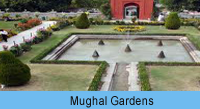 Mughal Gardens