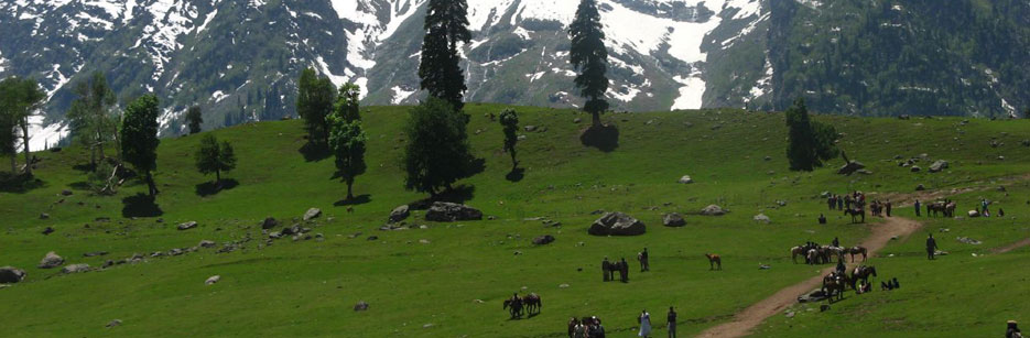 srinagar tour and travel